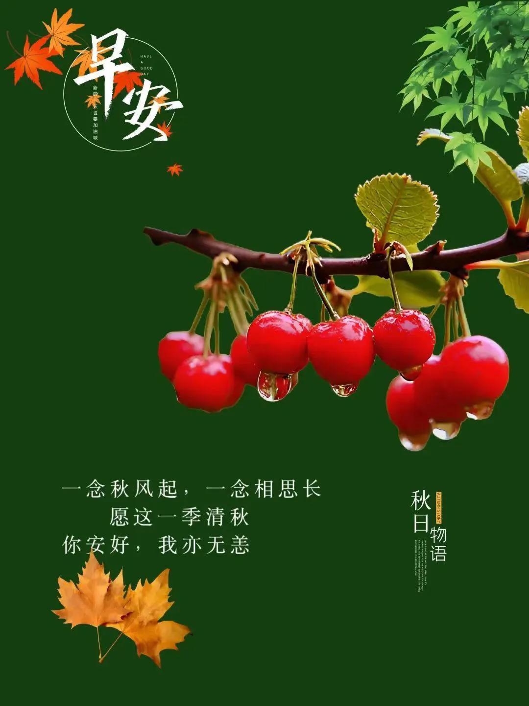 #分享一下你随手拍的清晨#2024 年 10 月 7 日，周一早安！生活就像一面