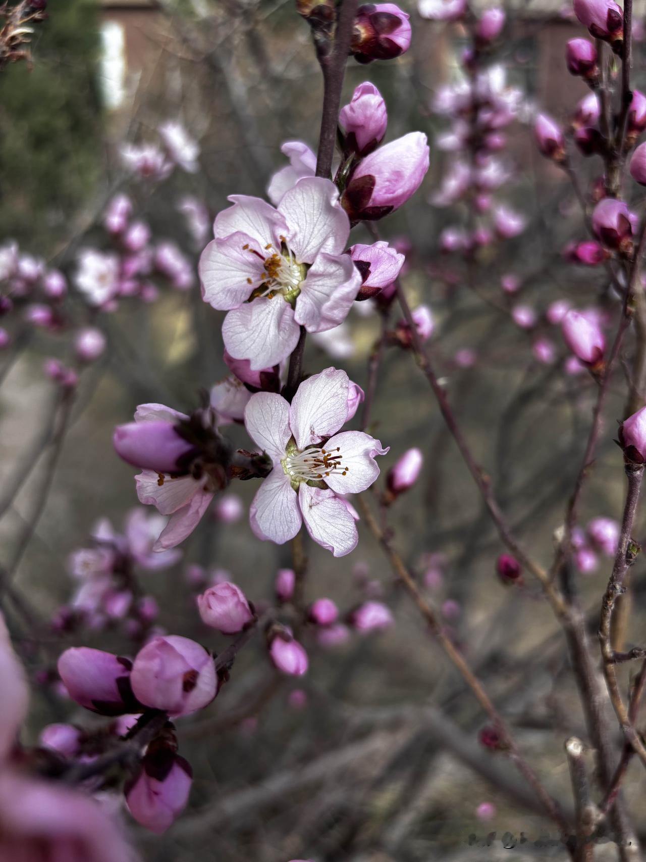 太吓人了，如果你平时不怎么运动，千万别突然去做大量剧烈运动，真的会出大事！
昨天