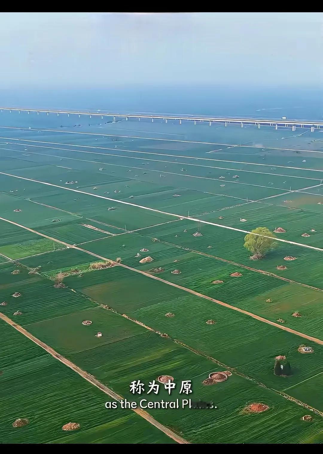 每年去世1000多万人，未来20年，平原地区的含坟量都会急剧上升。

人生犹如草