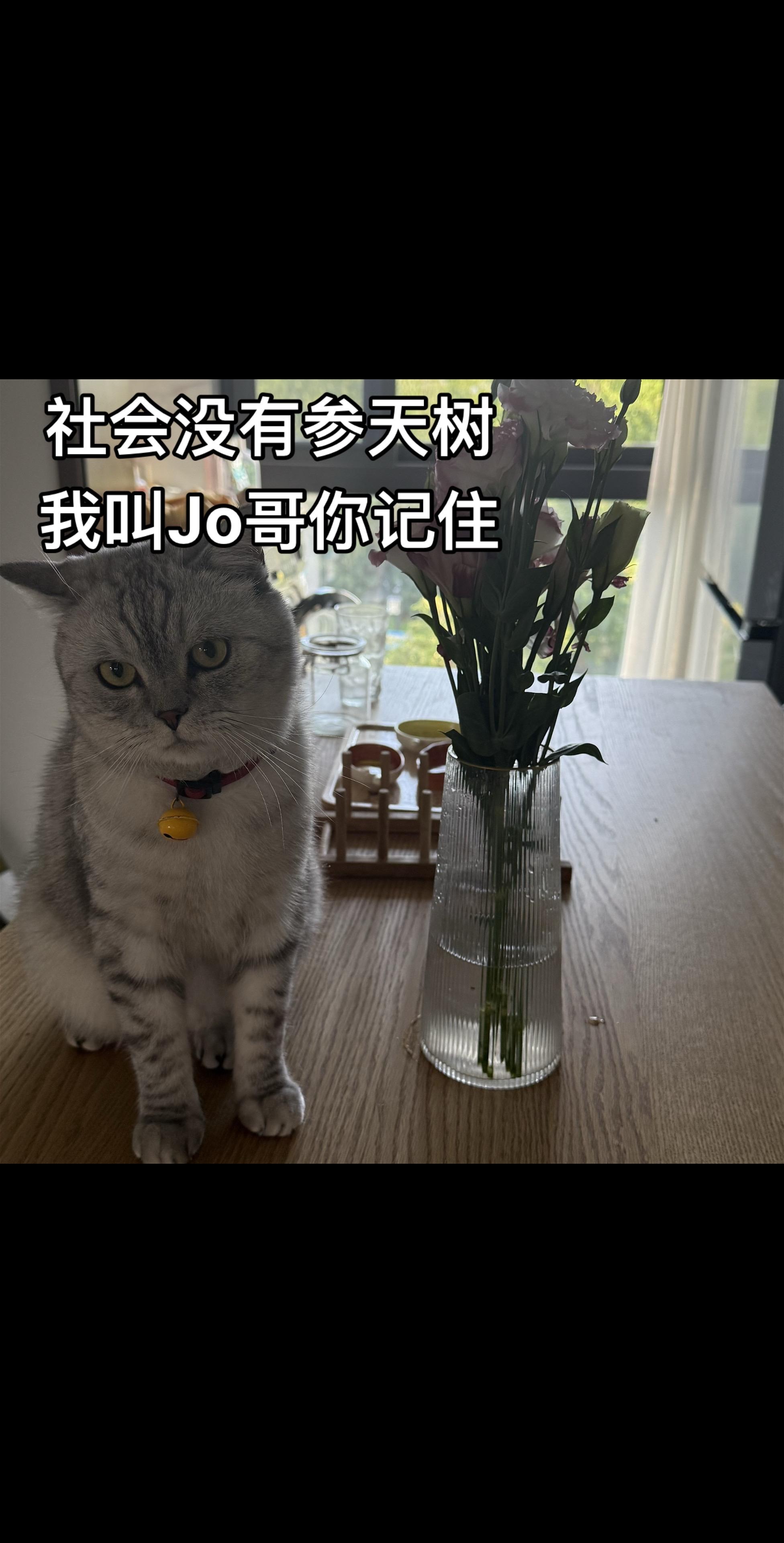 小男孩站姿