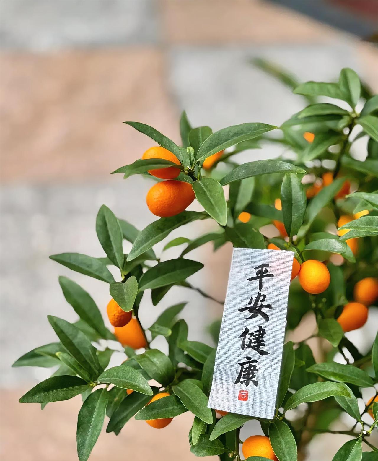 以前很难治，现在已经能治的7种疾病：

第一种，天花
第二种，丙型肝炎
第三种，