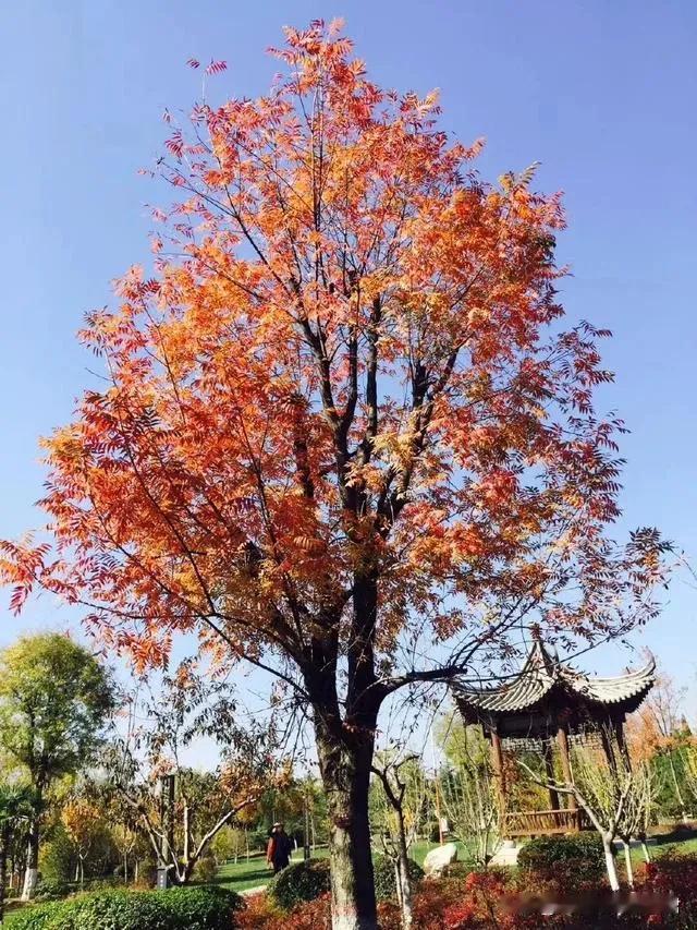 安全工作要不断修炼见叶知秋的敏锐

安全工作，作为企业运营中不可或缺的一环，其重
