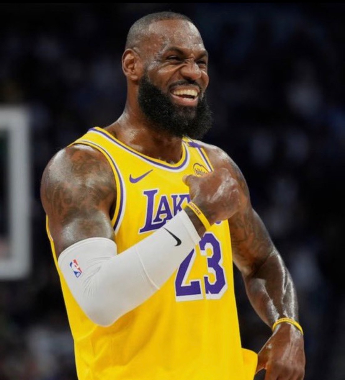 JR·史密斯说，詹姆斯在东契奇和里夫斯受伤后，取消了上周的高尔夫球赛。“我们本来