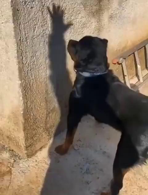 哈哈哈哈哈。