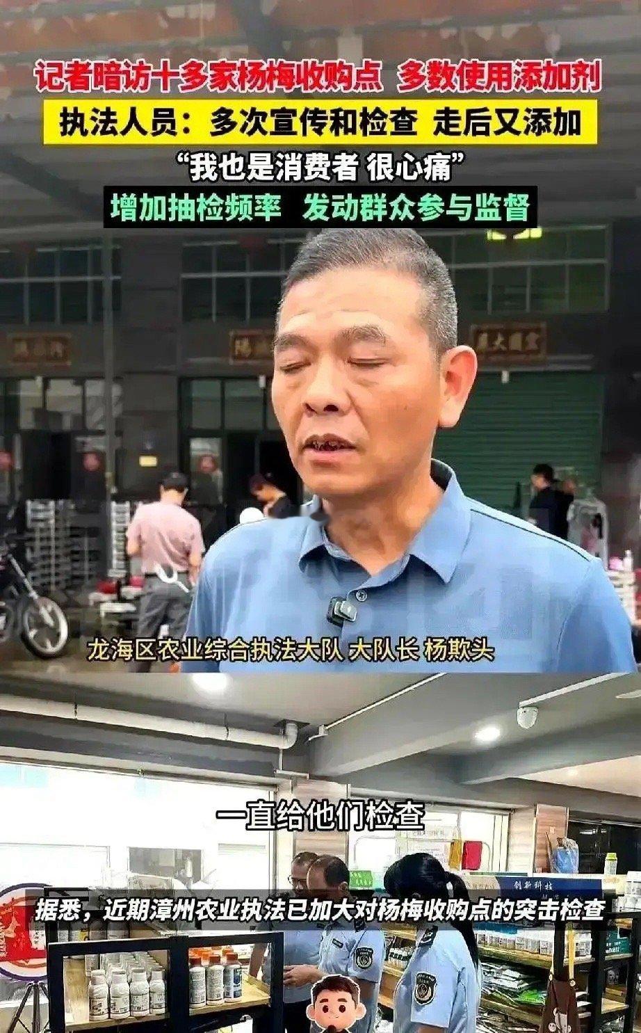 漳州杨梅这事，是记者在现场被一个工人一把拦下才曝出来的。他刚拿起一颗，红得发亮，