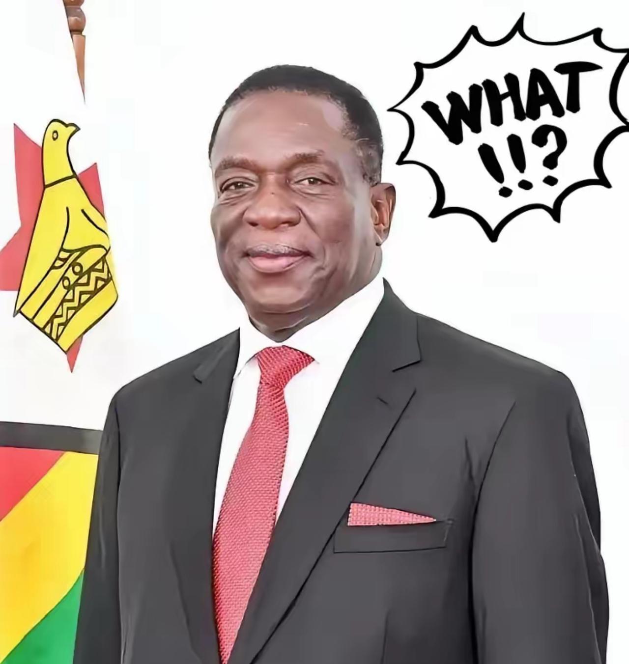 前脚巴拿马不顾中方反对，强行接管了巴拿马港口，后脚津巴布韦突然宣布暂停锂矿出口。