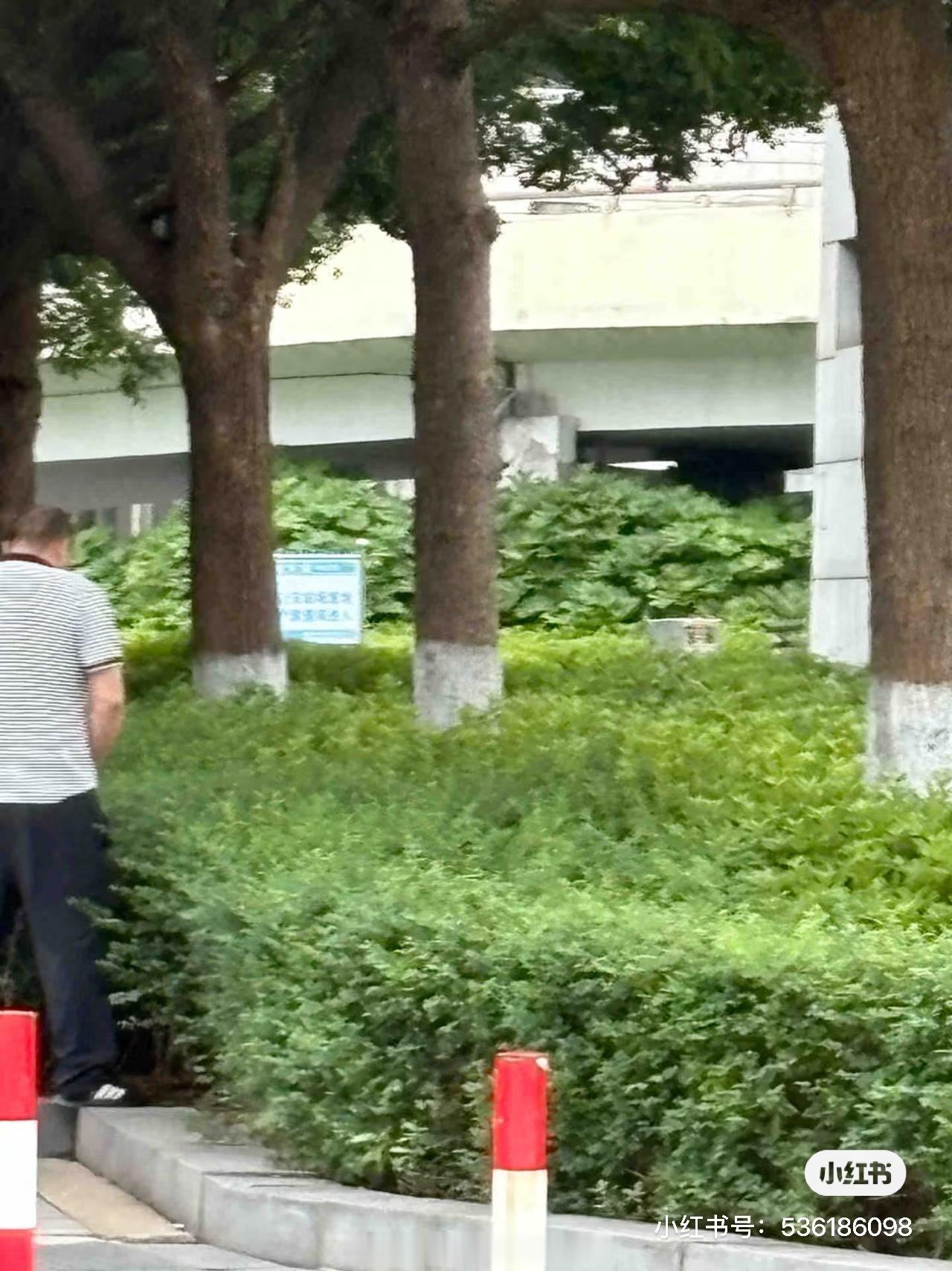 独特的风茎线 