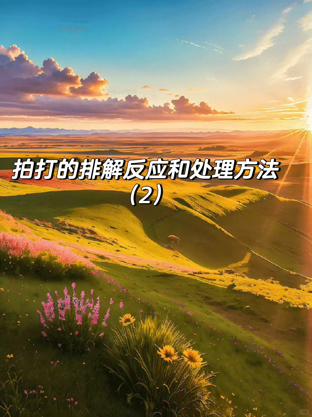 拍打的排解反应和处理方法 （2）