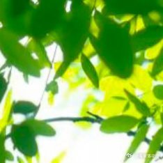 阳光信用阳光信用 每日一善 心善，是一种美德，人善，是一种修养，真善，是一种功德