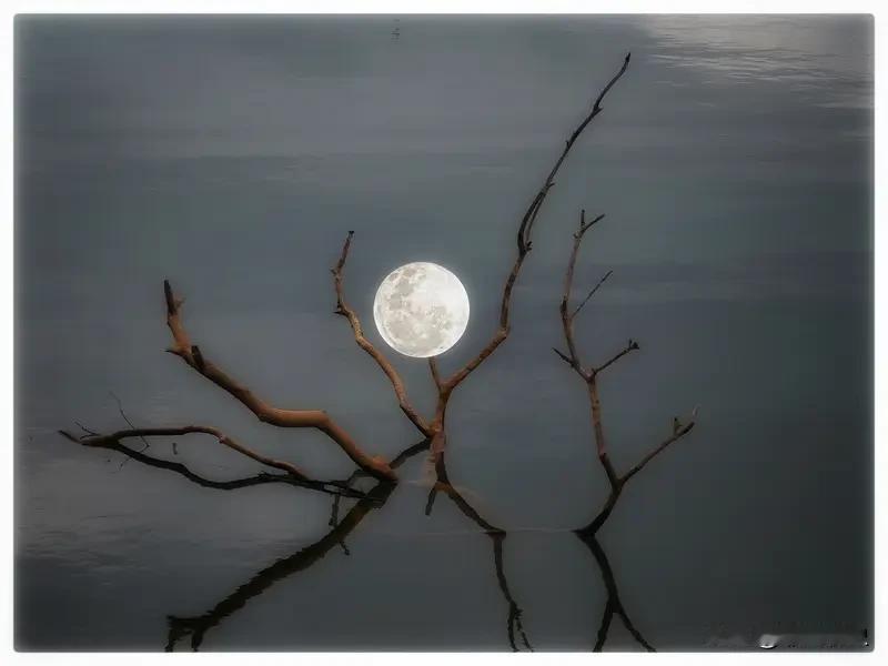 很多事情，你越是在意，就越容易出错；越是在乎，反倒越容易失去。一个人强大的标志，