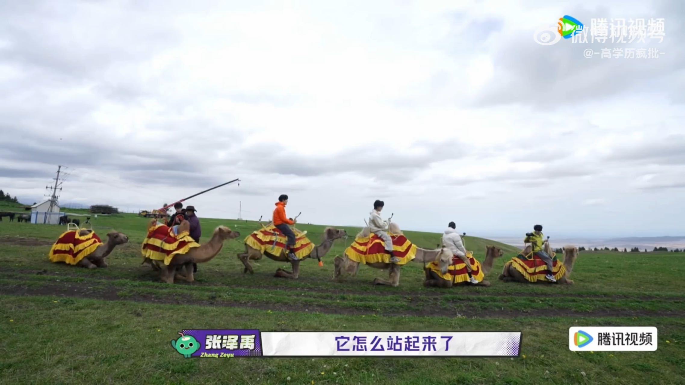 张泽禹骑骆驼前一秒还从容得很，下一秒被骆驼一口口水喷得手忙脚乱，直接慌得喊“骆驼