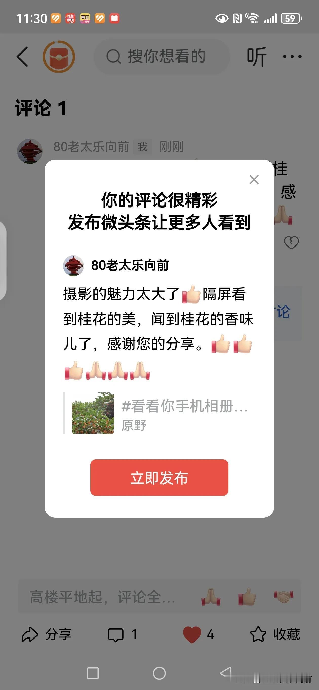 摄影的魅力太大了[赞]隔屏看到桂花的美，闻到桂花的香味儿了，感谢您的分享。[赞]