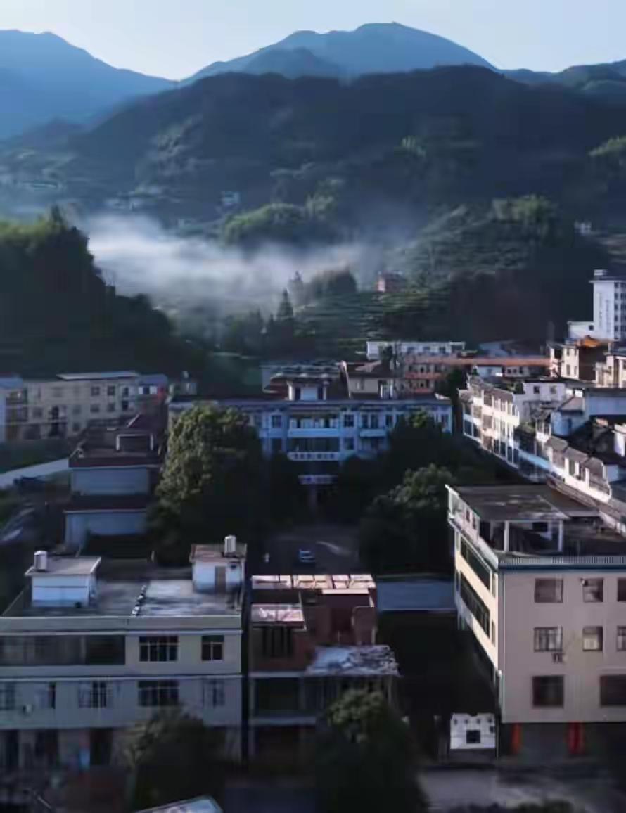 前几天刷到遂川高坪明坑村山体滑坡的消息，特意翻了好多本地网友的实拍和镇里发的通知