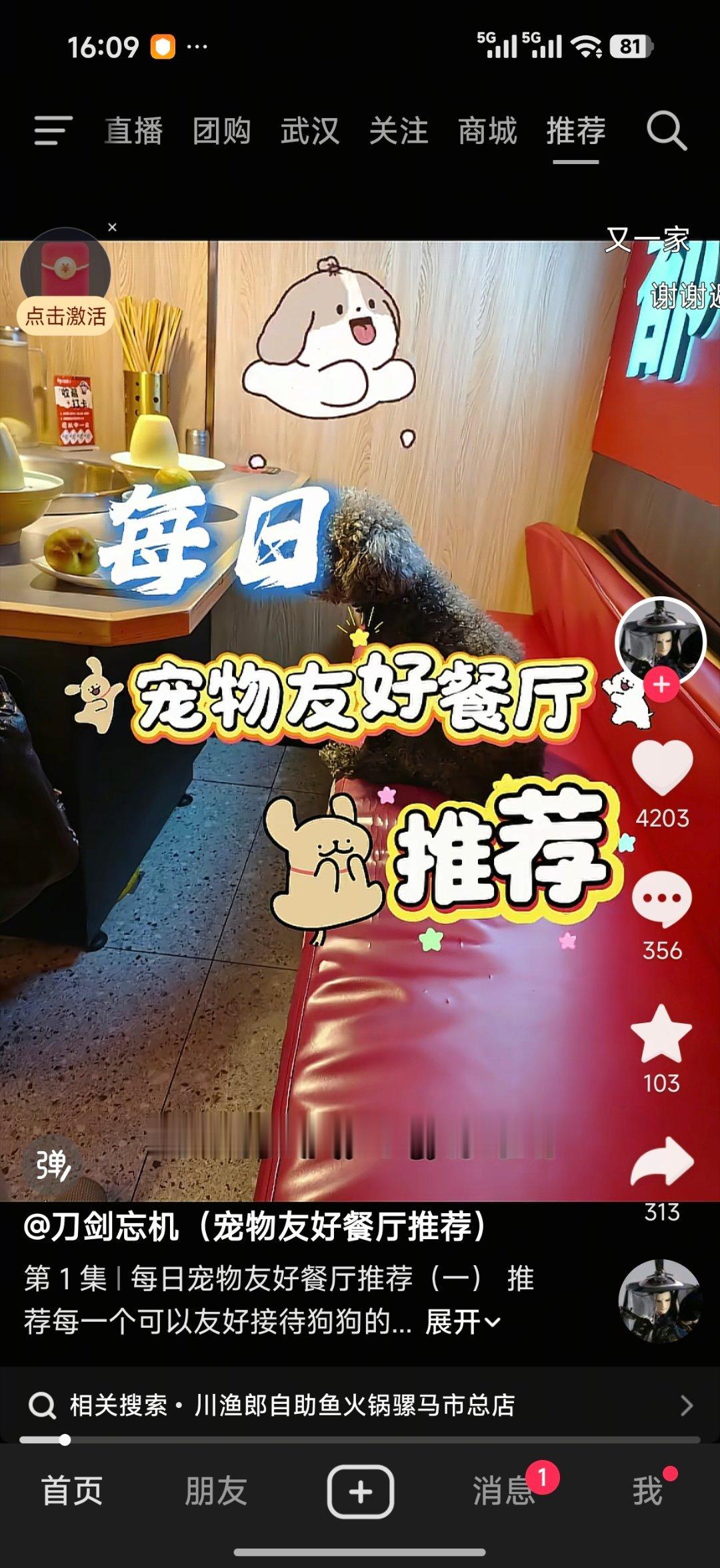 笑死，有人天天搞宠物友好餐厅推荐 