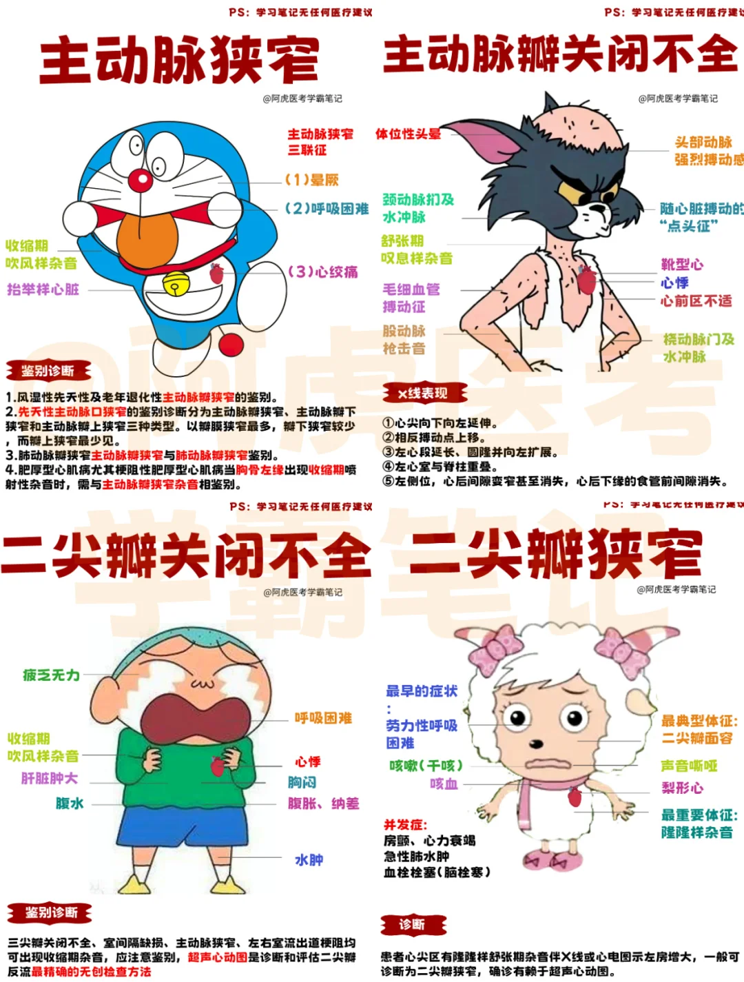 医学生学习笔记📒：瓣膜病汇总👆