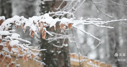 今日三九
三九虽寒，日子要暖，
把寒冷挡在门外，
把健康留在身边。