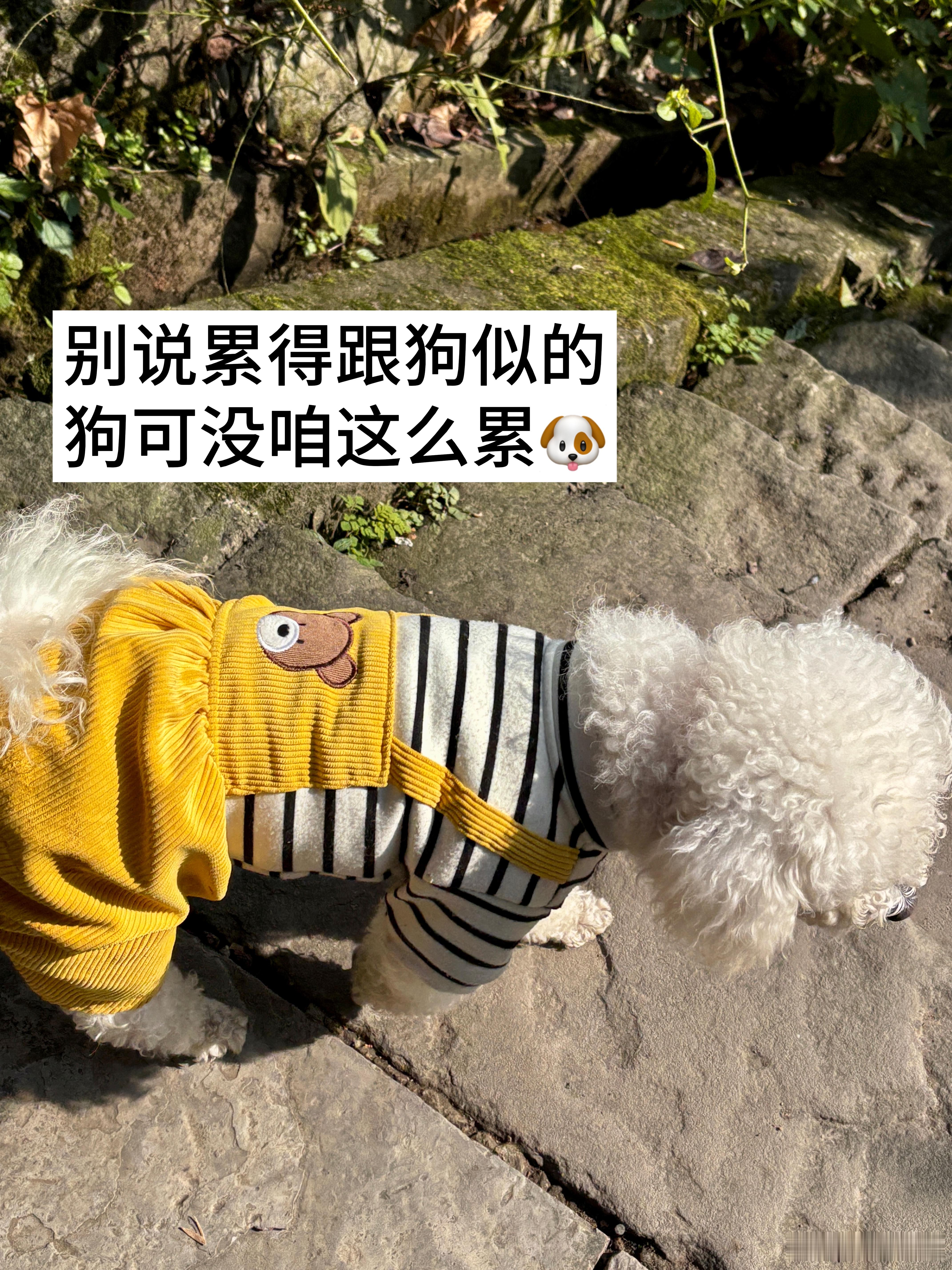 周一打工Plog/一辈子很短 但没关系 周一很长😅已被正式确诊为自闭症一坐到工