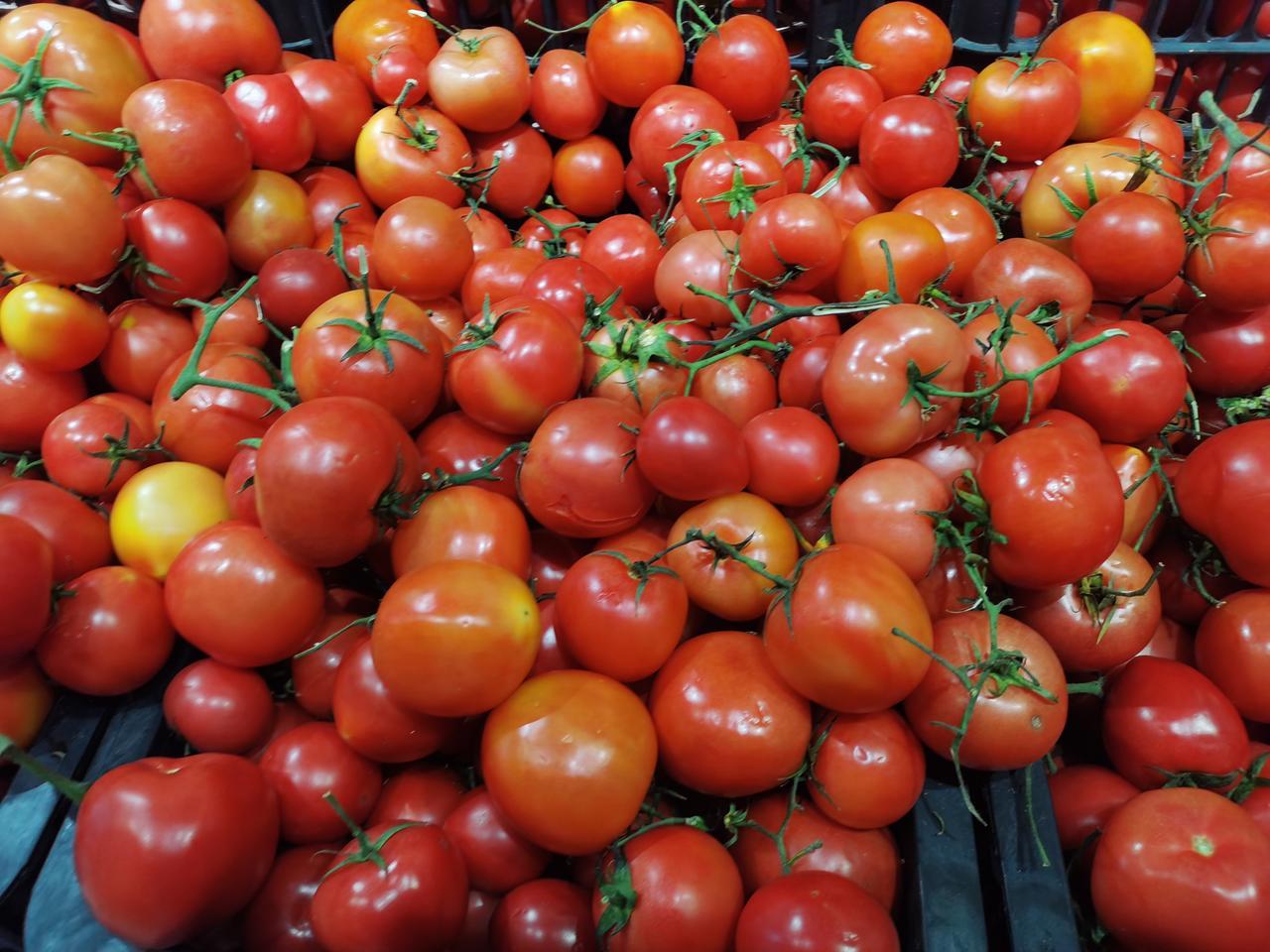 早上去跑步走到郑密路淮河路桥头上卖菜的，卖水果的可多
一问这里的菜比超市的还便宜