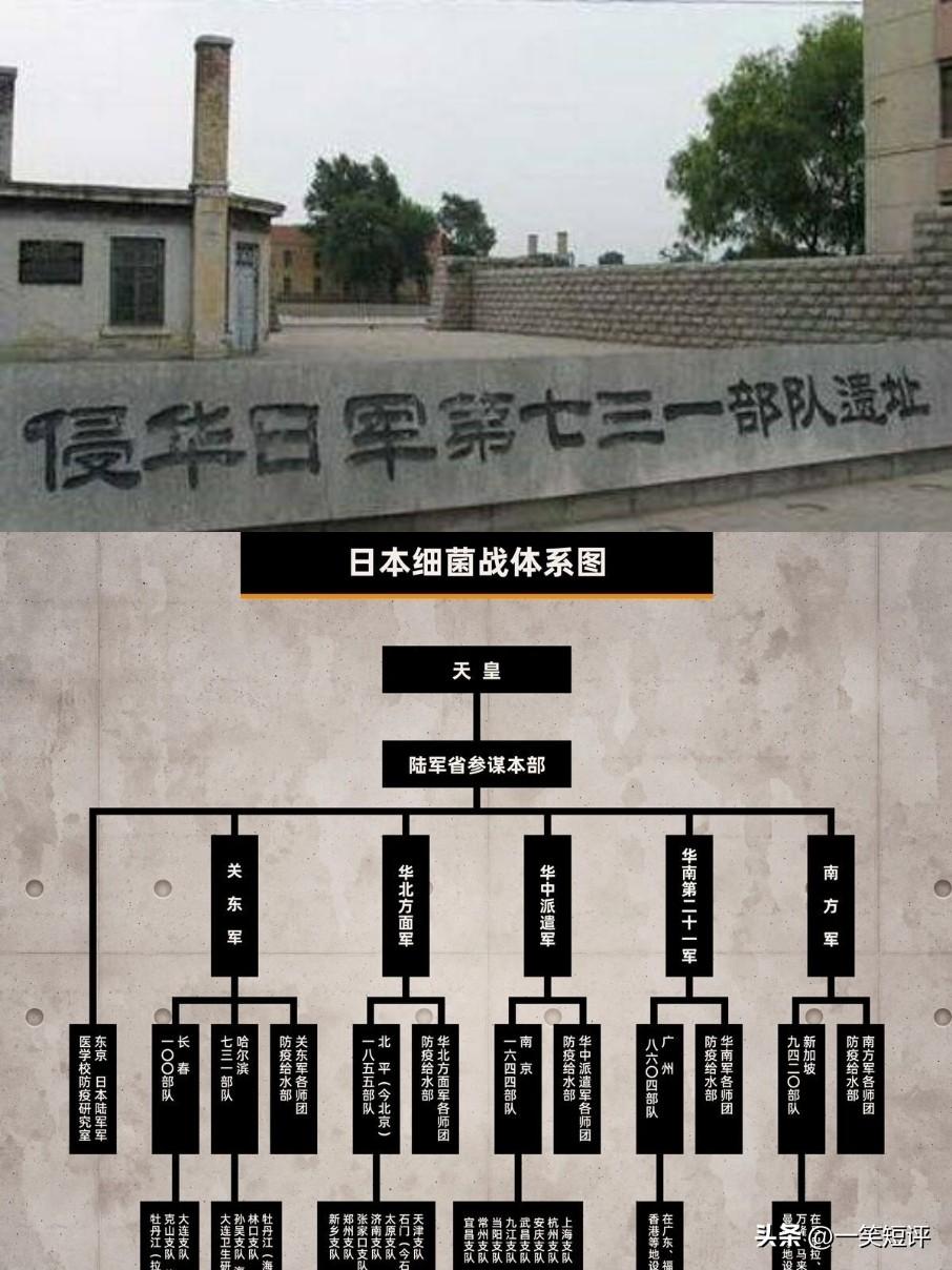 【何止“731”】
今天是7月31日，不禁令人想起日军“731部队”。
很多人可