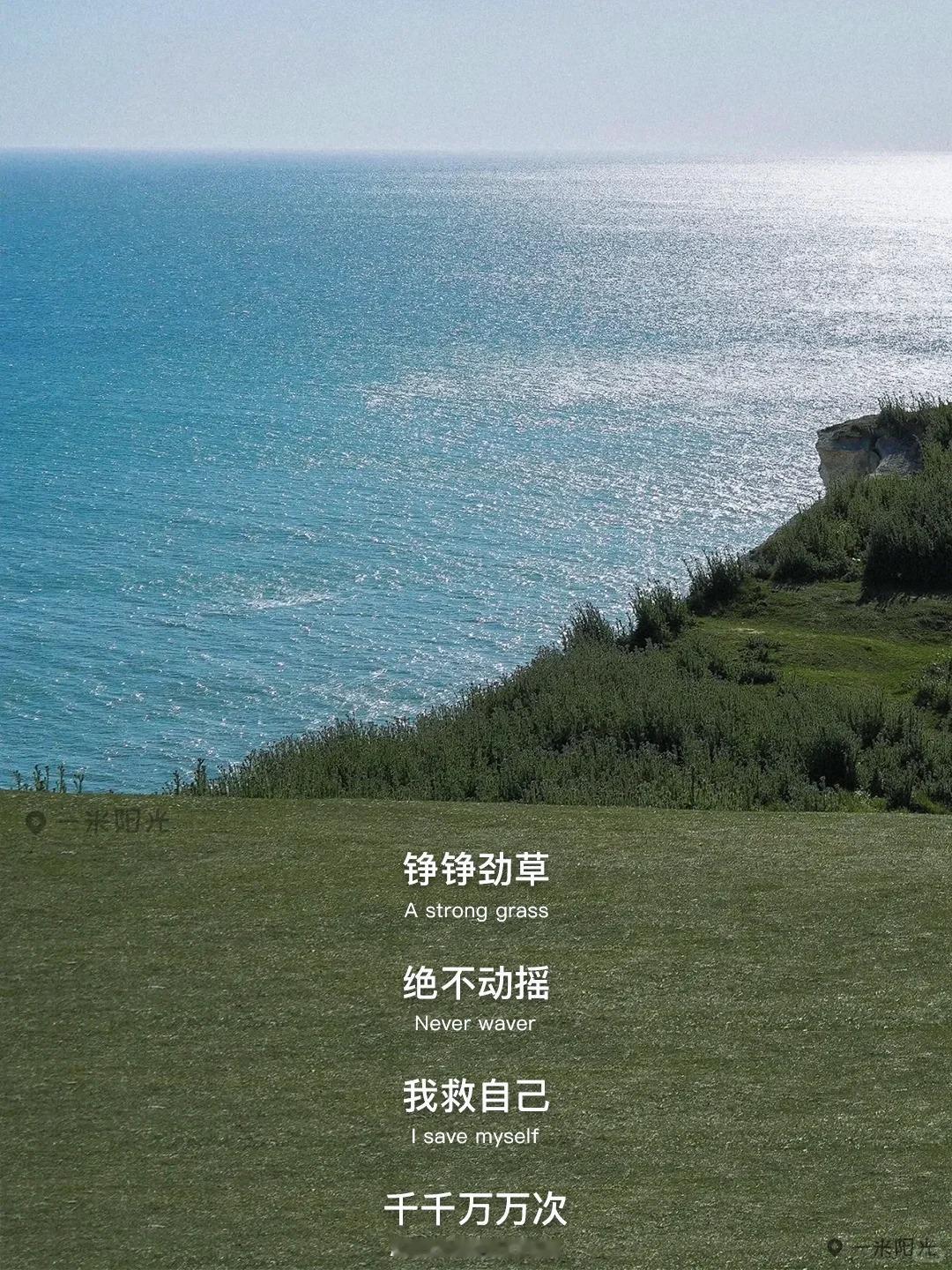 我天我不是记得庚午月的月运刚刚写完吗，我还抽空回了趟家，怎么™的这么快就要写辛未