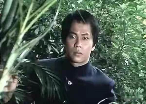 东亚病夫时代的陈真激励我的前半生，梁小龙老师千古！

1982年，刚刚小学1年级