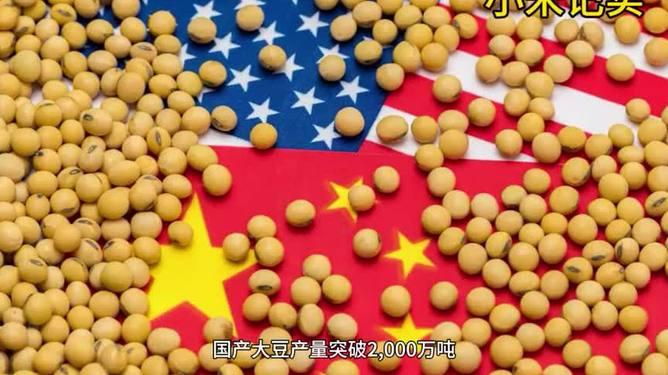 为何特朗普要和中国战略“歇战一年”？
要了解特朗普的对外政策，首先要了解他所有行