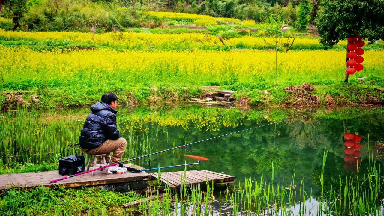在山水间静坐，把日子过成慢镜头，钓的不是鱼，是满心的自在与安宁。