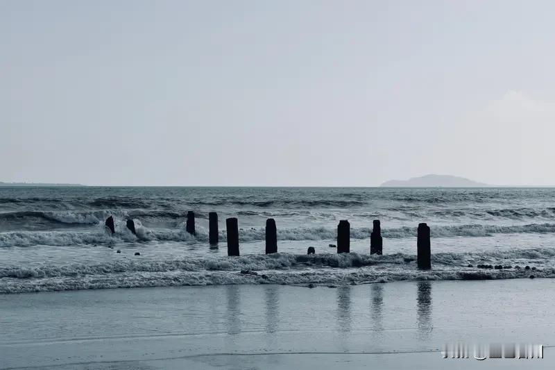 快乐就是随心所欲，这话太对了！就像我之前突然想去海边，啥也没准备，买张车票就出发