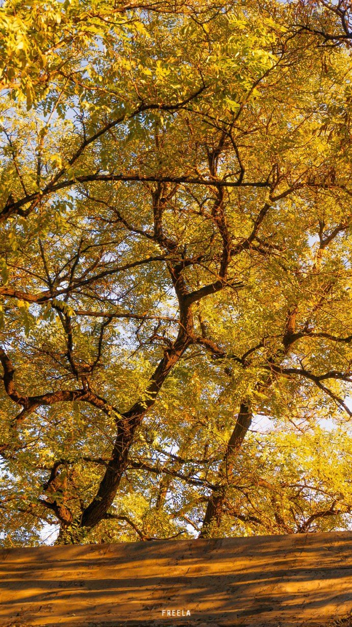 曾国藩15句经典语录，耐人寻味  1.凡人做一事，便须全副精神注在此一事，首尾不