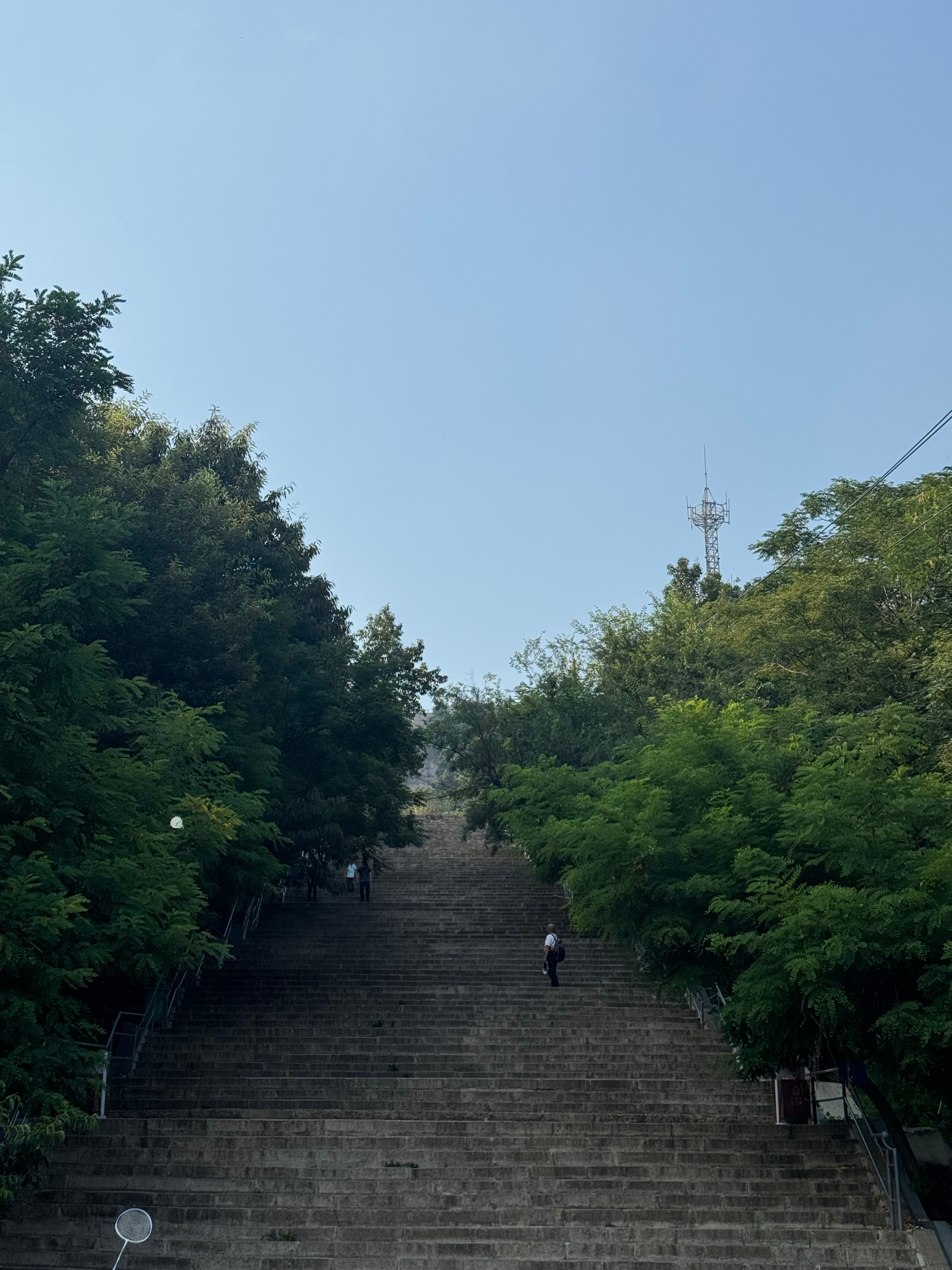 太热了太热了 还是小朋友体力好我们还在下面的 我家最小的男生都已经到山顶了真的是