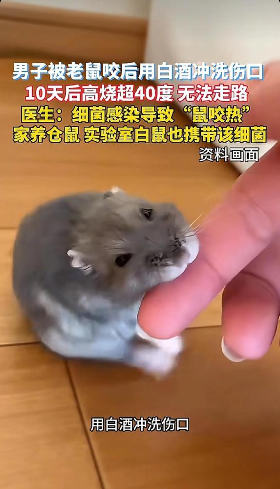 真的是马虎不得。

前阵子刷到深圳龙岗那个保安的事，我真的后脊骨发凉。他抓粘鼠板