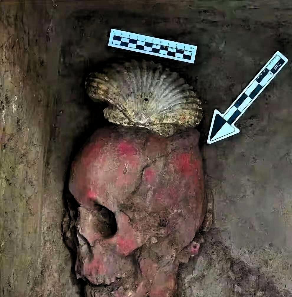 山西新挖出的那个夏朝大墓，刷新认知了，让大众对上古时期的社会结构有了全新认知，褪