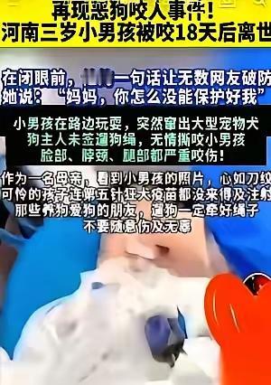 以人为本的社会，应该严惩危害公共安全的不文明养狗者，这样才能切实保护人民群众的和