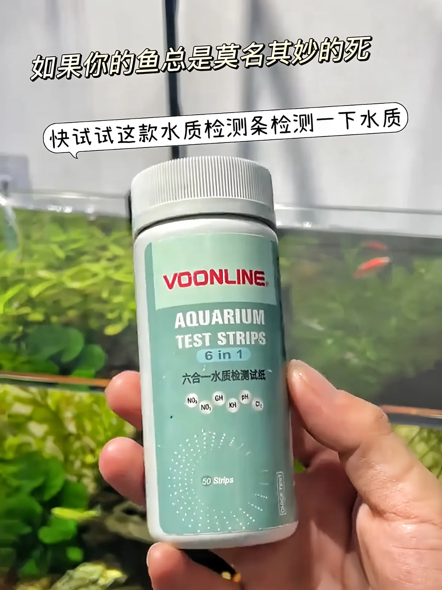 1. 养鱼老司机私藏：还在苦恼鱼缸里的鱼总是养不活？新手养鱼总是无从下...