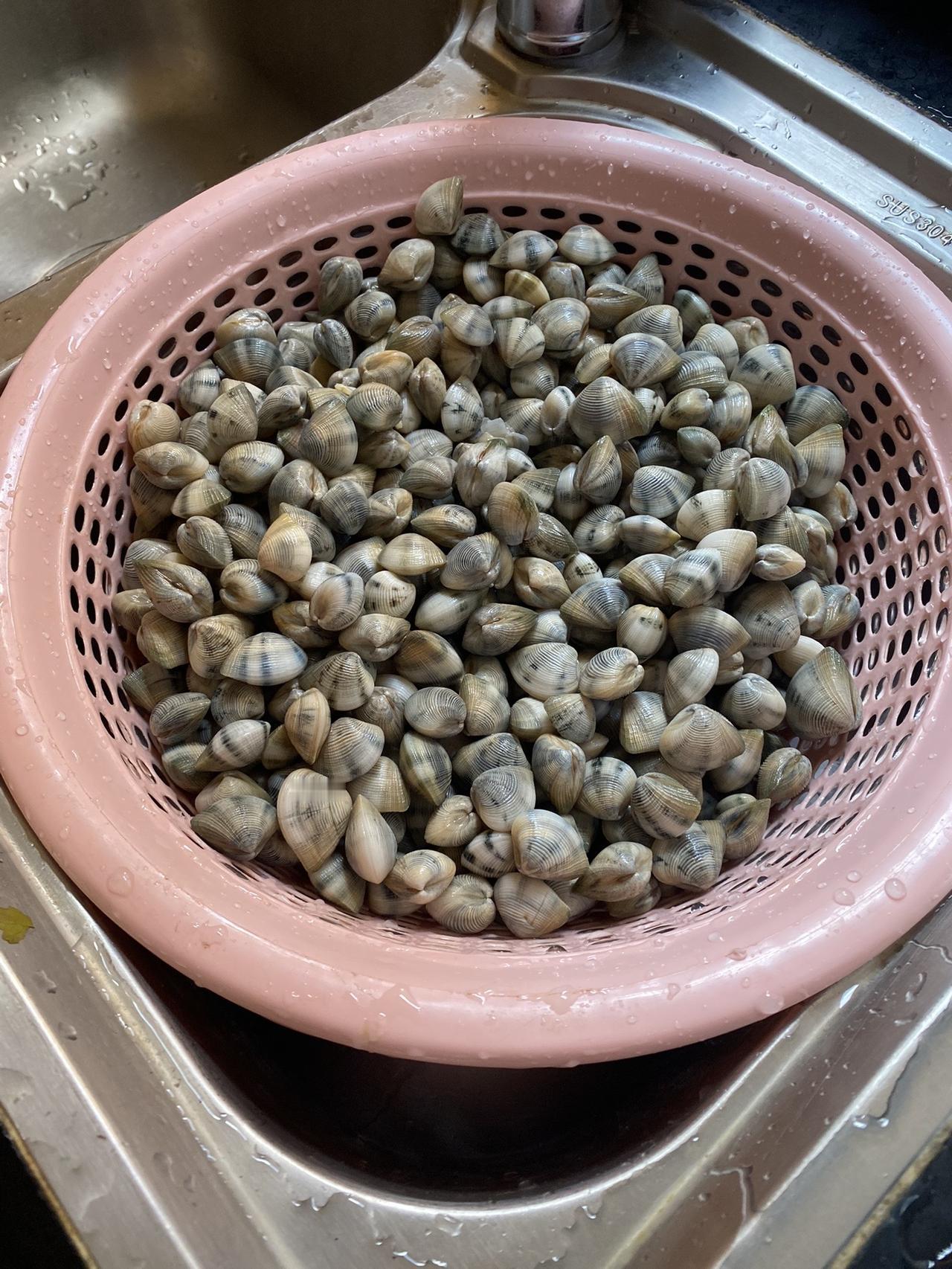 一早上挖了快20斤！#赶海赶海赶海啦