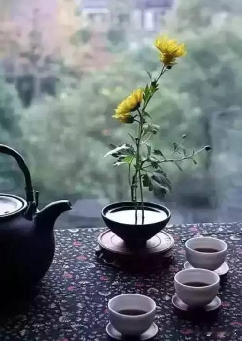 茶如人生，人生如茶。你喝的茶，早已暴露了你的性格与身体。喝茶人的生活,你喜欢喝茶