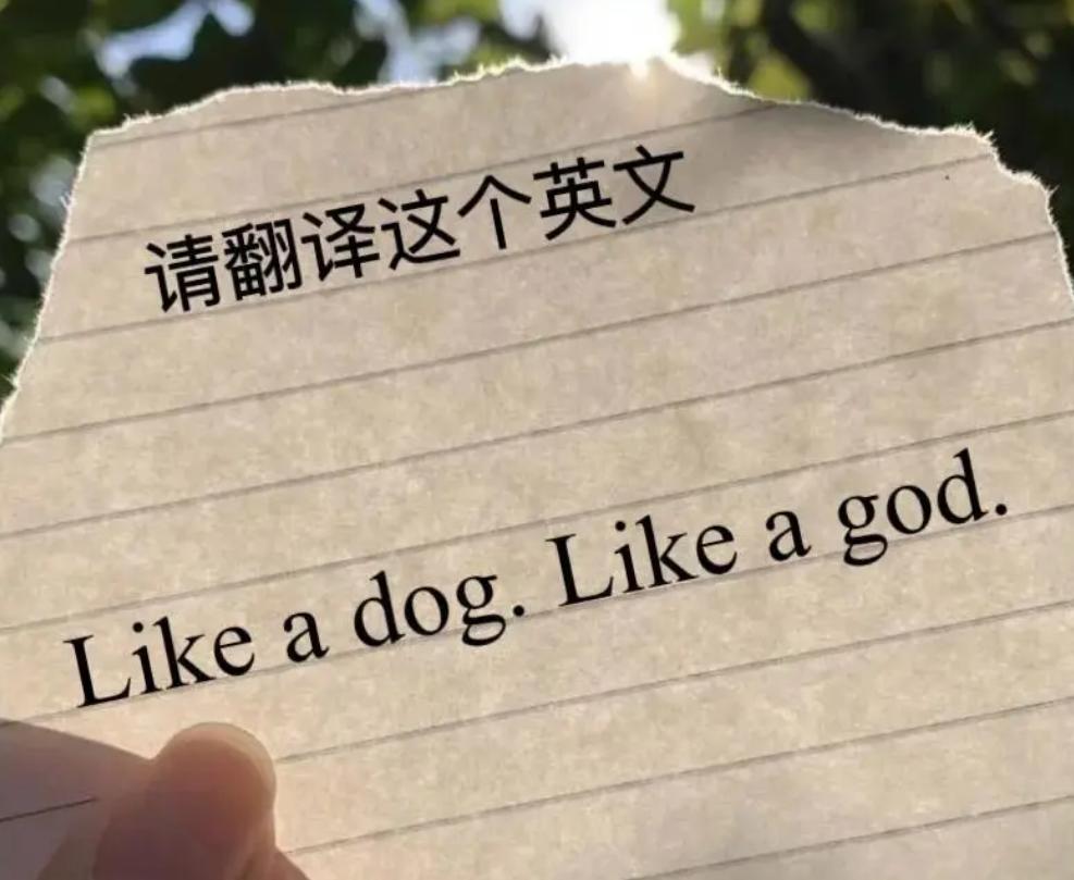 以你的英语水平和文采，会如何翻译这句话？
Like a dog. Like a 