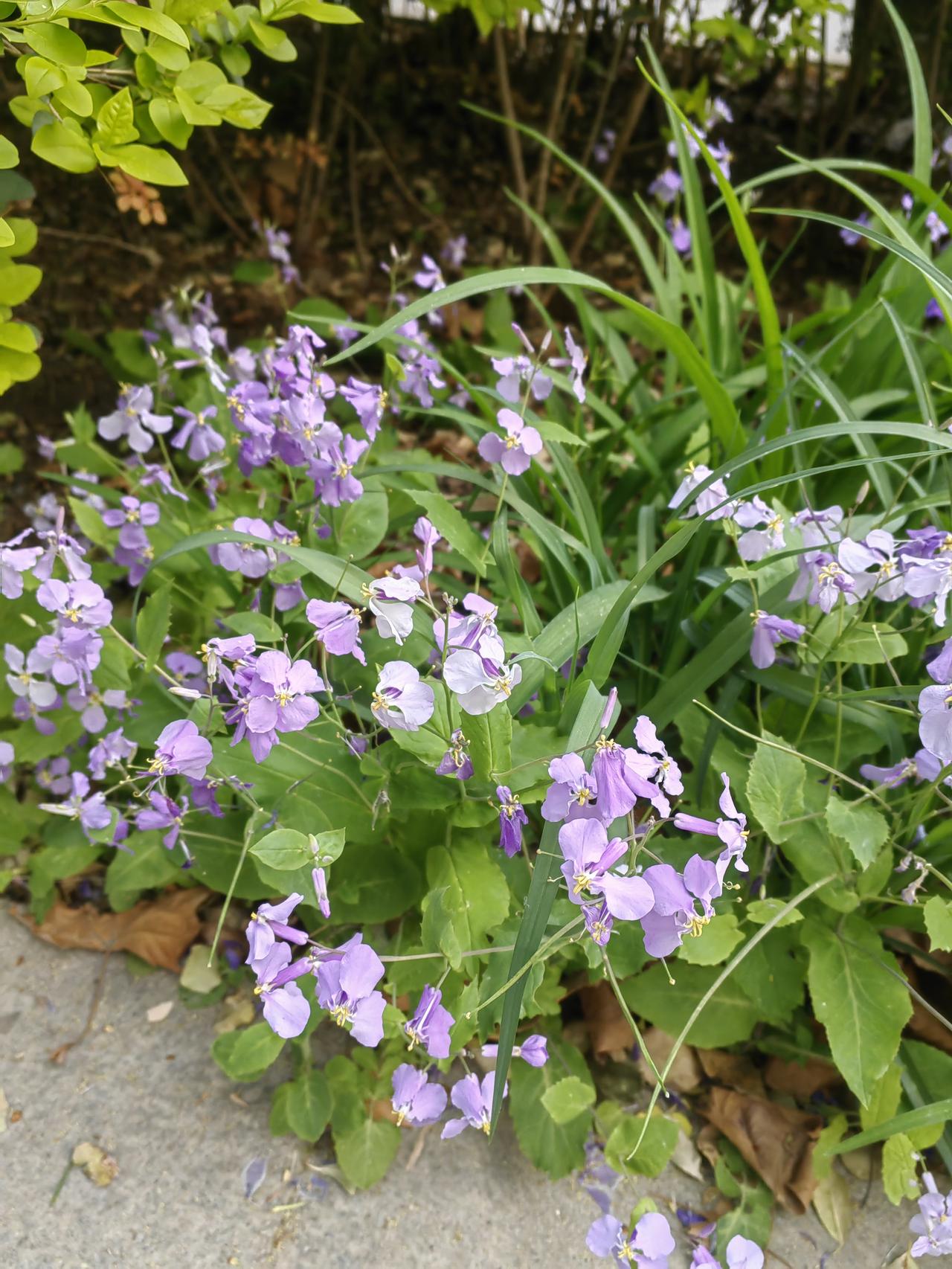 我跟老公说，军转考试尽力就好。人到这个年纪，能有份工作就该知足常乐了。

曾经老