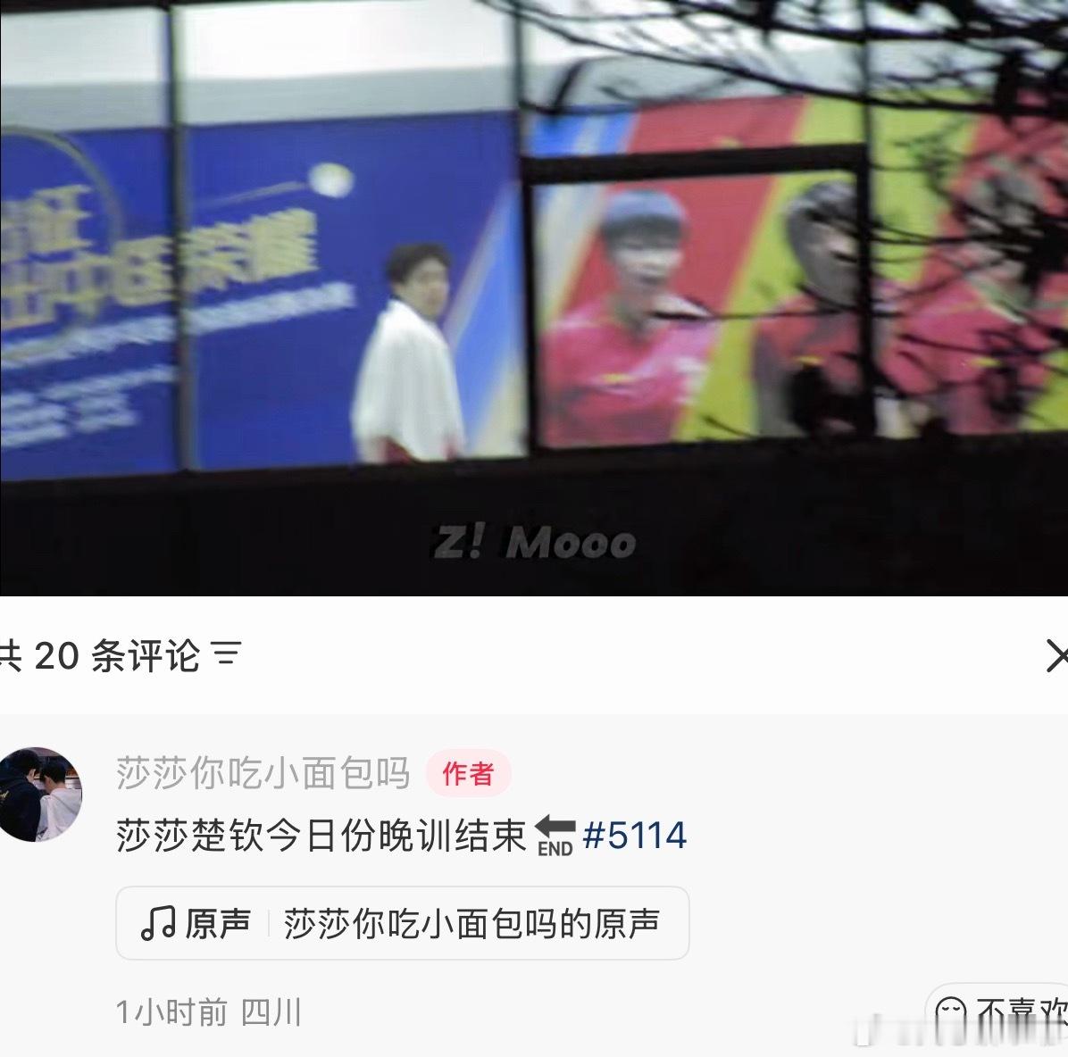 晚上下训的莎莎和大头 