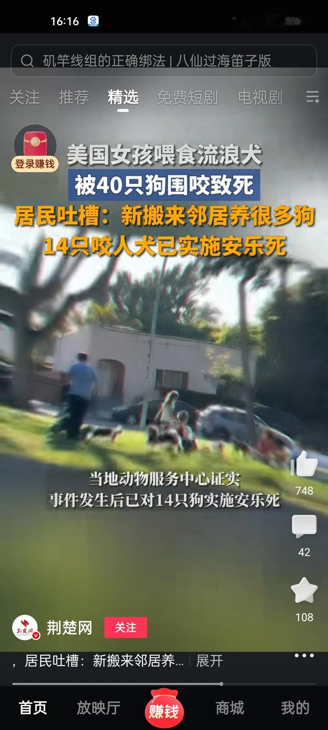 很多爱猫爱狗人士都说对流浪猫狗的关爱体现出一个社会的文明程度。
他们认为不管猫狗