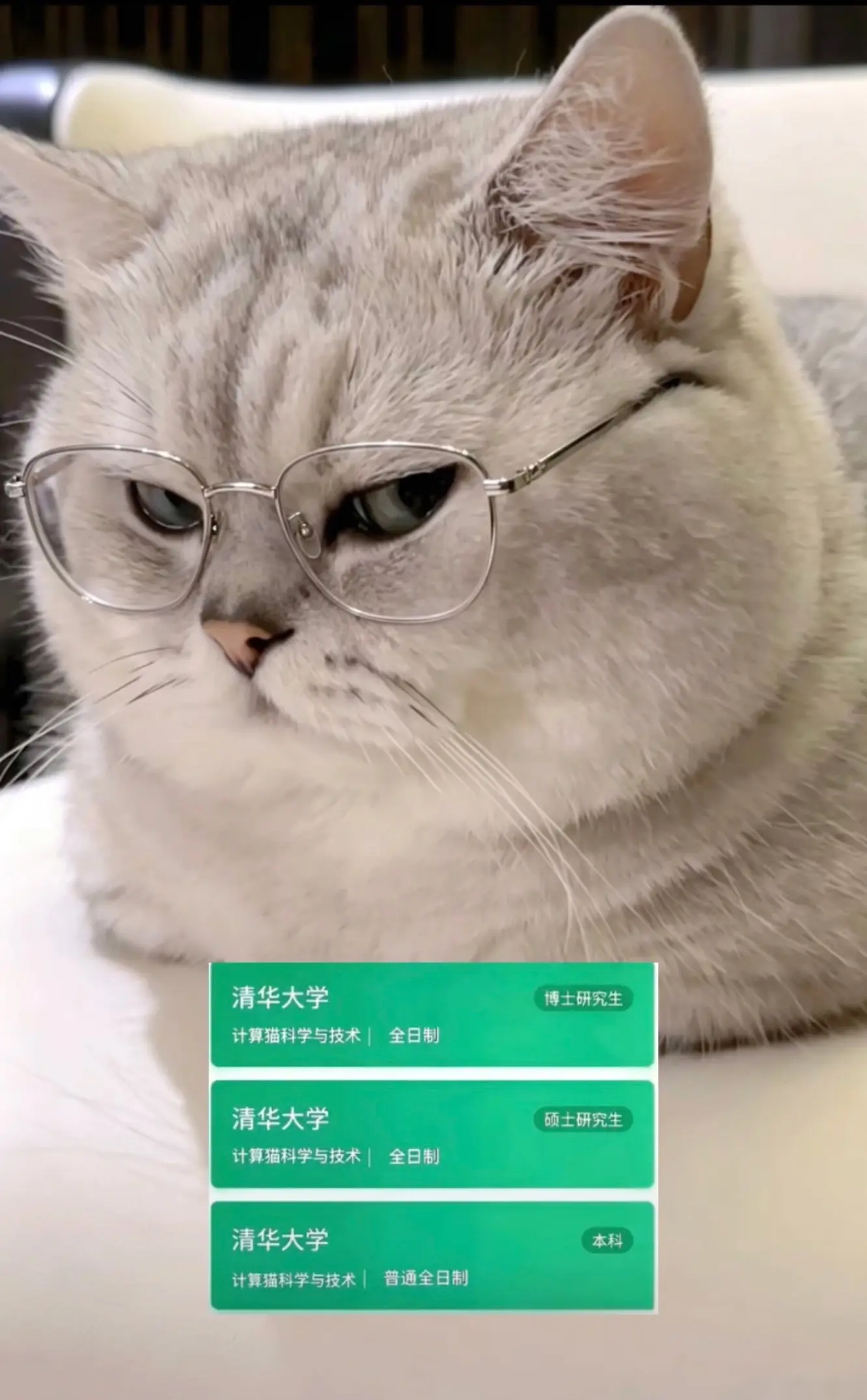 21世纪最性感的是大脑
