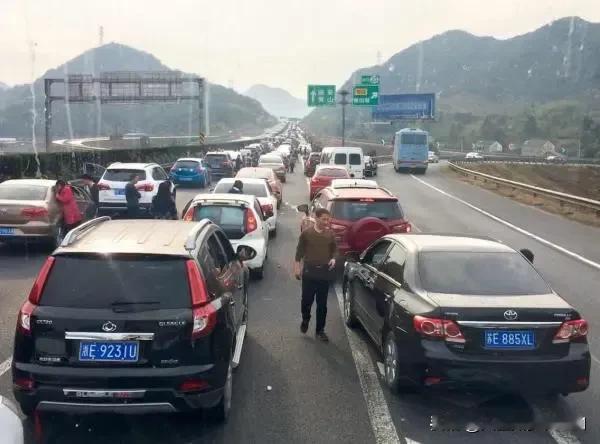 故乡若能容身,谁愿背井离乡?
漂泊札记
 
行李箱滚轮碾过月台的震颤
与心跳共振