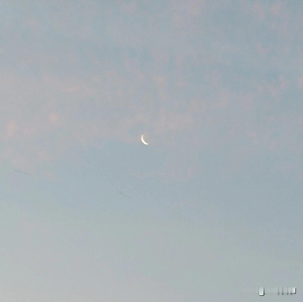 冬晨
雪后晨色寒，
霞露星光单，
岁在时月半，
月弯浅如镰！