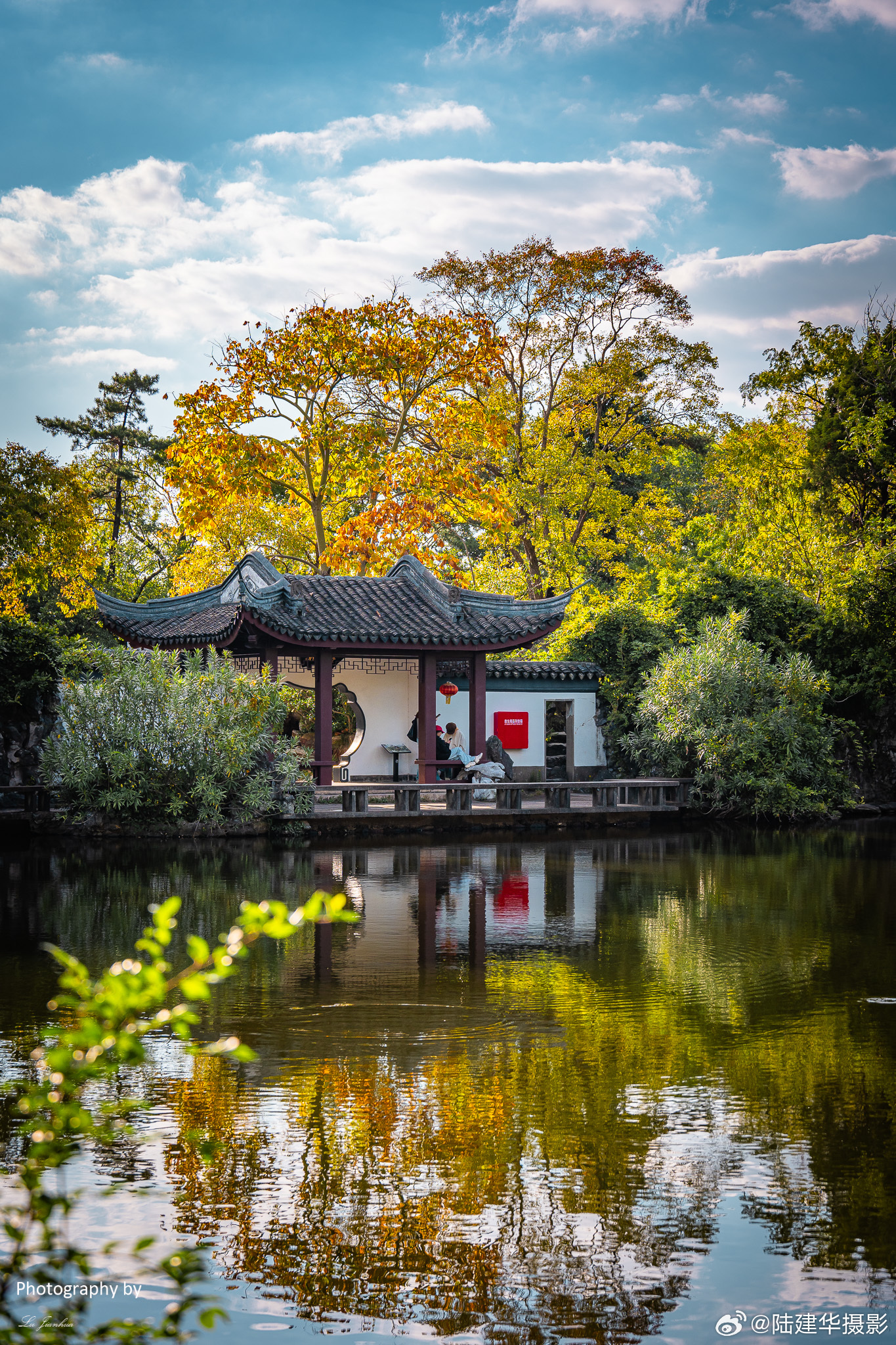 无锡蠡园，一处隐匿在江南水乡的园林胜地，让我领略了大自然的美好与诗意。 