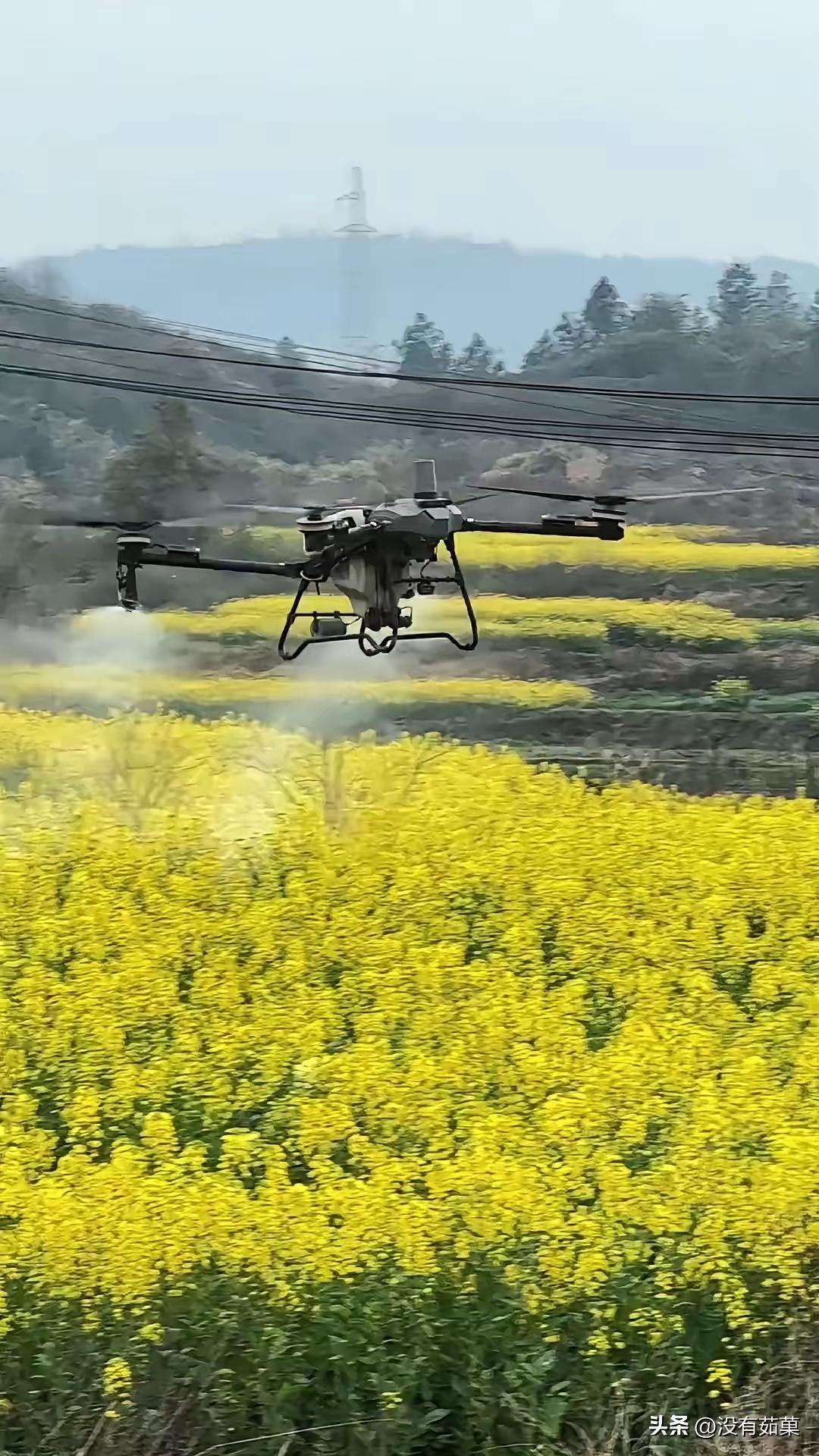 别再洗了！根本洗不白！
这两天突然齐刷刷冒出一堆替无人机喷药洗地的文章，步调一致