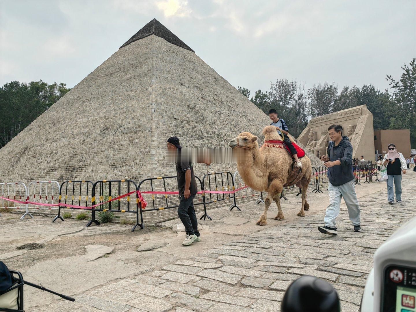 我是特么多无聊才会在世界公园租电驴转悠难道平时电驴骑得还不够多吗  ​​​