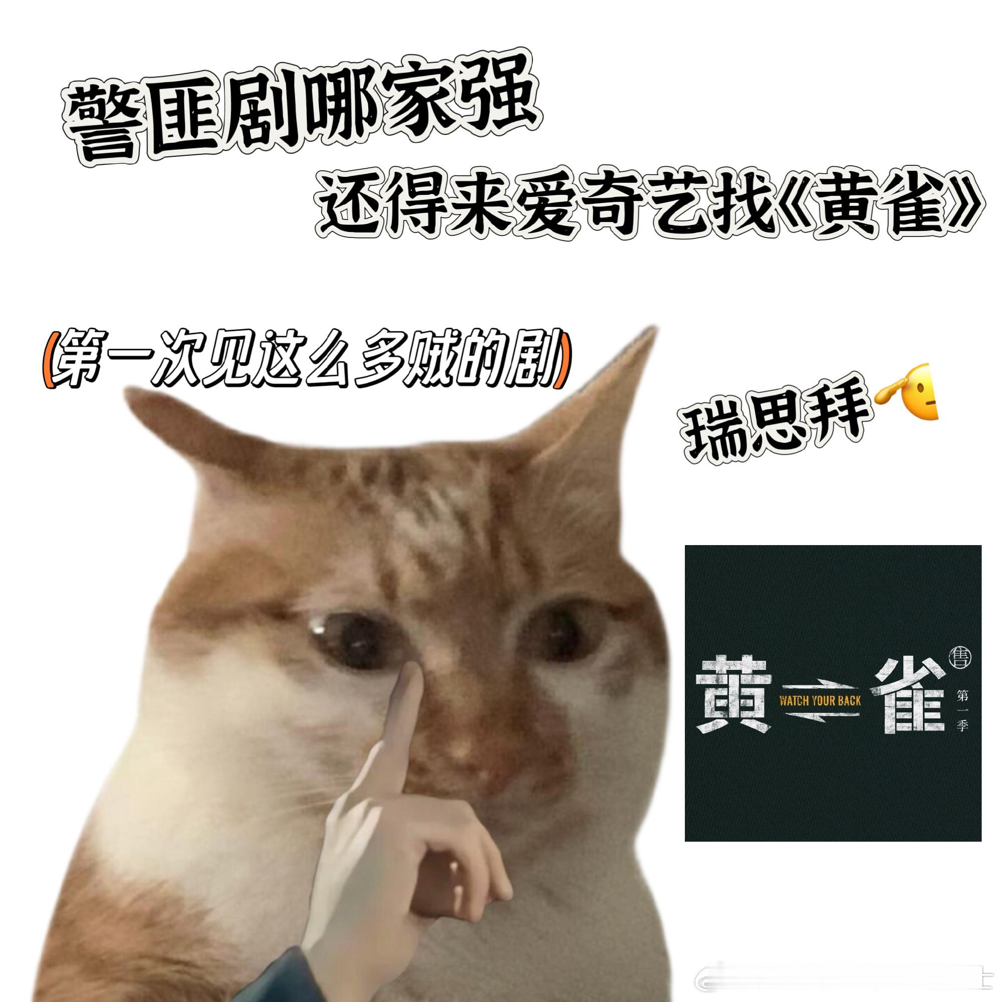 从没见过一部剧这么多贼 以前看剧，贼的形象都很单一，《黄雀》直接打破认知，刀片流