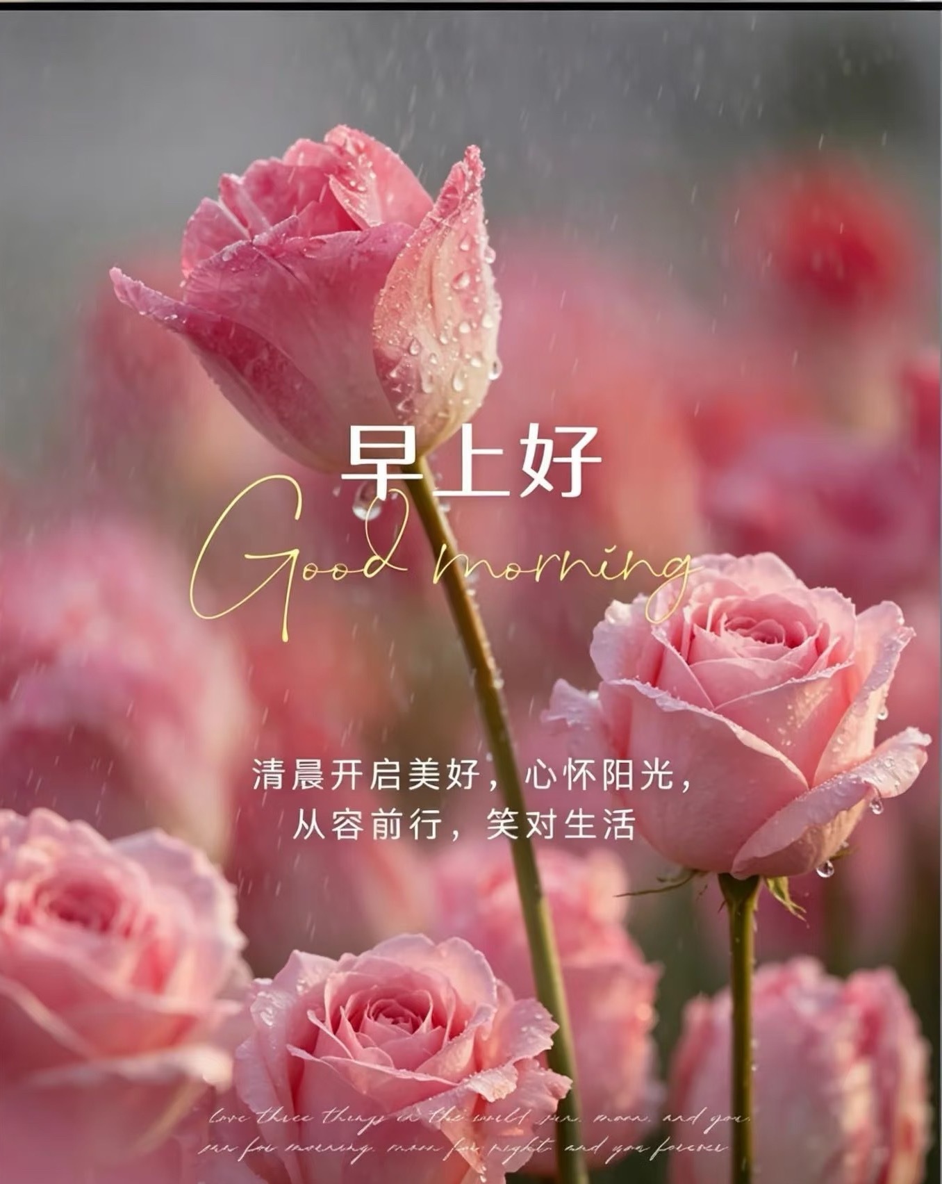 早安 ᵕ̈ ᴍᴏʀɴɪɴɢ💐ᵕ日子日复一日，生活忙忙碌碌看淡是福，知足是乐健康