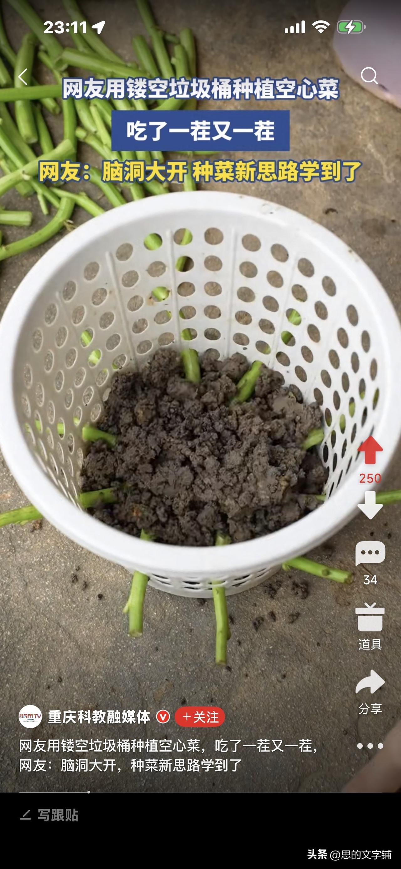 想不想在阳台种空心菜吃呀？
下面这个方法很有效哦，
保你吃个够！

看视频，手把