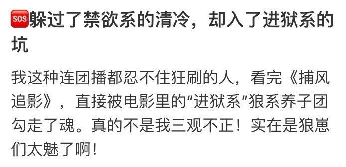 躲过了禁欲系没躲过进狱系 捕风追影这伙人是来索命的吧！躲过了清冷禁欲挂，偏偏栽在